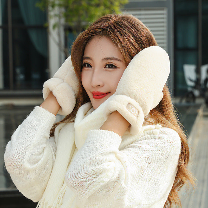 Women's Winter Fleece-Lined Windproof Warm Gloves